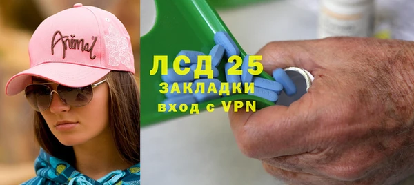 сатива Михайловка