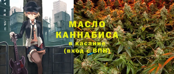 ПСИЛОЦИБИНОВЫЕ ГРИБЫ Михайлов