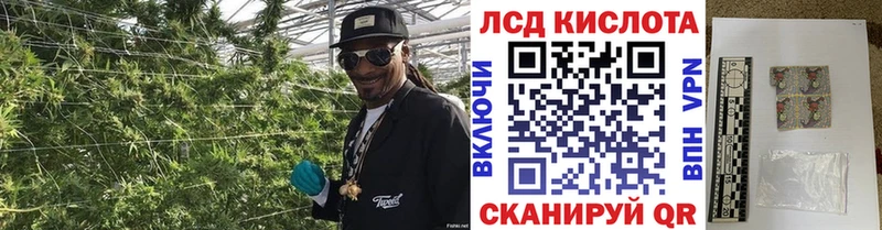 блэк спрут онион  Боровичи  Марки NBOMe 1500мкг  как найти закладки 